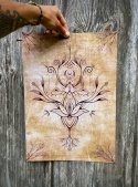 Plakat A3 Lotos Ziemisty